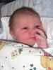 post-2668-1177344420_thumb.jpg