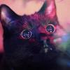 CookieCat
