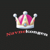Navnekongen